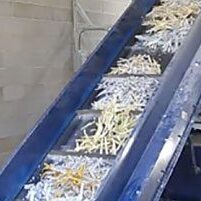 Drop Off Shredding